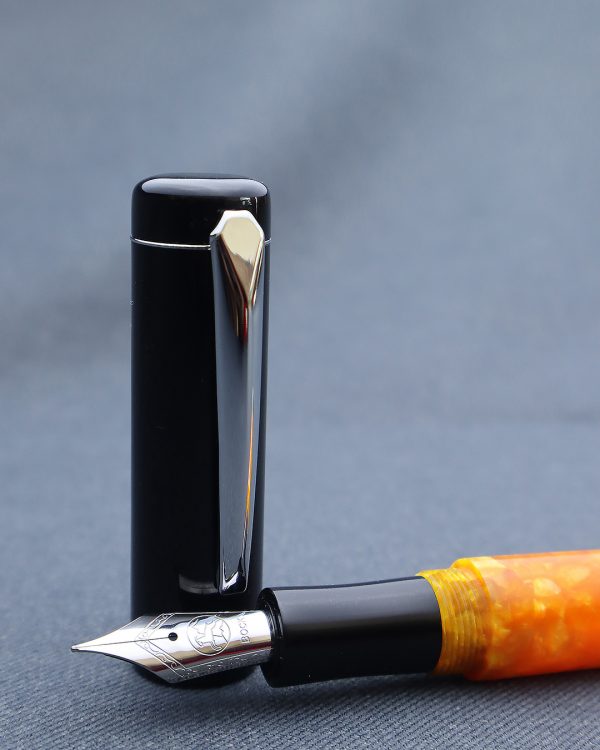 Wet and Wise Hugo Le Tigre Fountain Pen