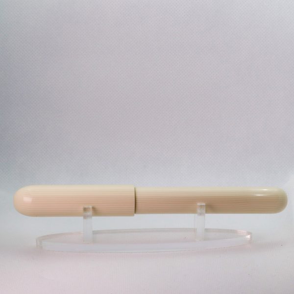 wet and wise fountain pen ivory rays